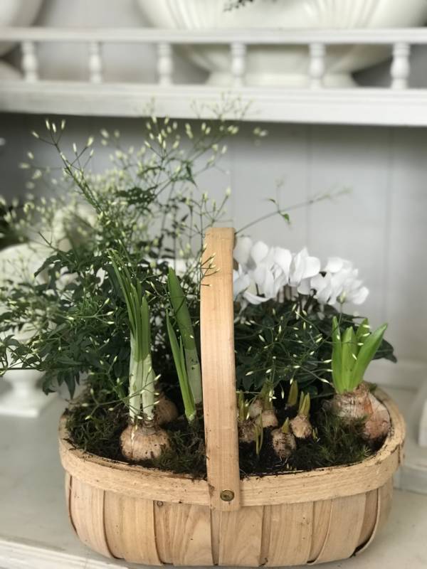 white planted trug arrangement mothers day gift