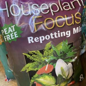 House plant peat free potting mix