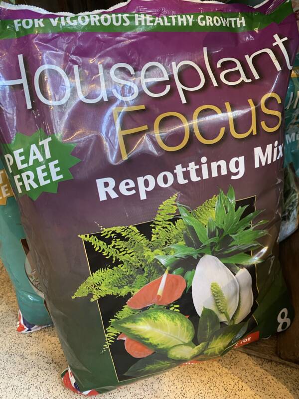 House plant peat free potting mix